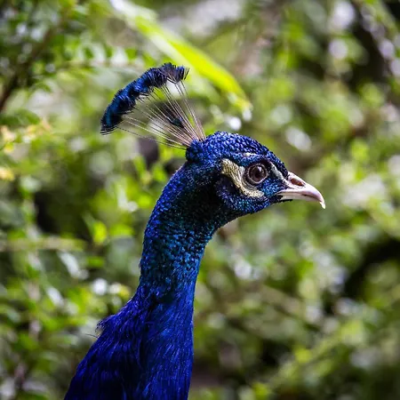 Der Lammhof - Kaswurm アパート