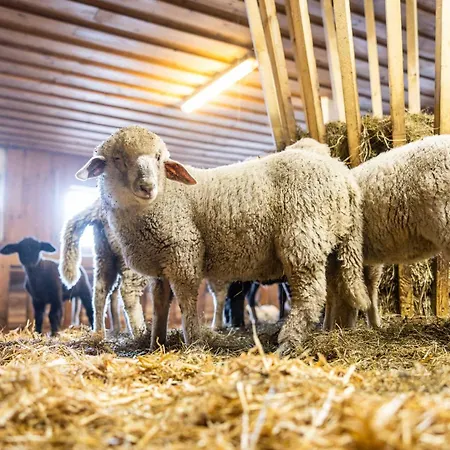 Der Lammhof - Kaswurm アパート ヴァークライン