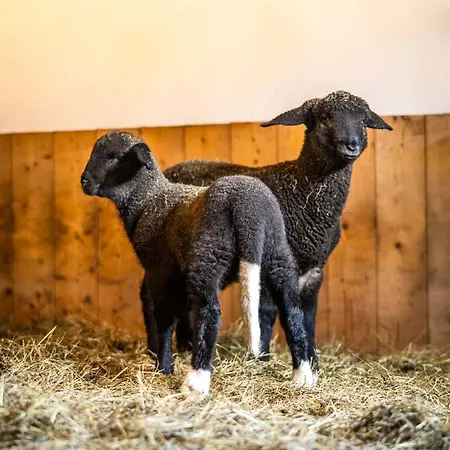 Apartmán Der Lammhof - Kaswurm *