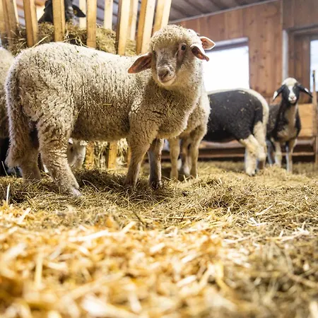 Der Lammhof - Kaswurm アパート