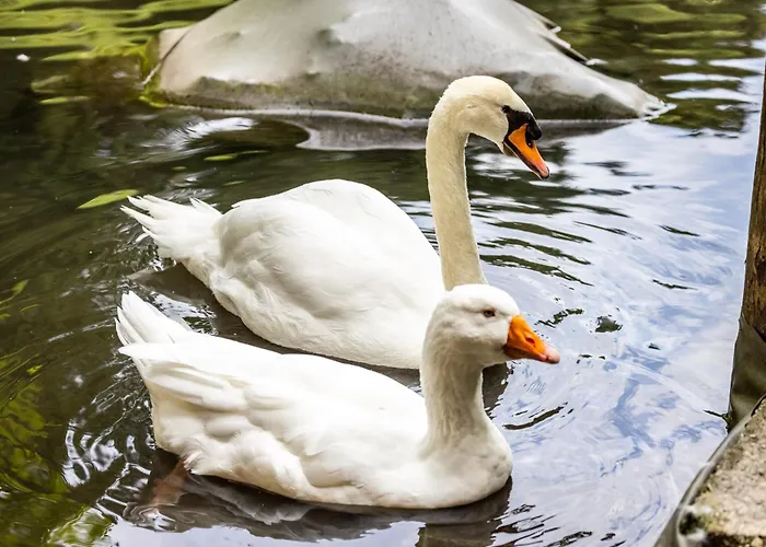 Der Lammhof - Kaswurm