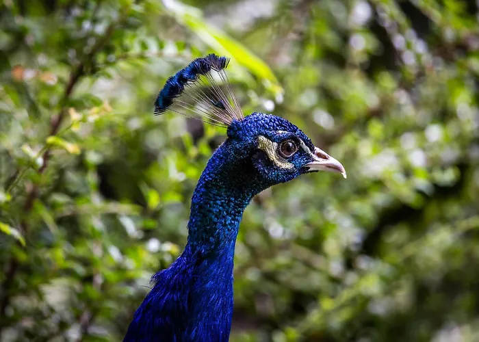 Der Lammhof - Kaswurm Apartmán