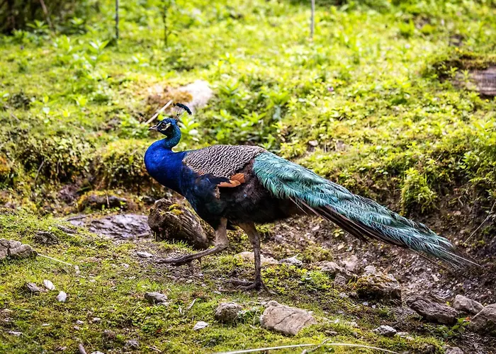 Apartmán Der Lammhof - Kaswurm