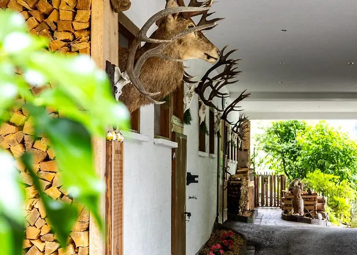 Der Lammhof - Kaswurm