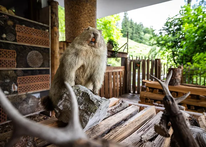 Der Lammhof - Kaswurm Wagrain