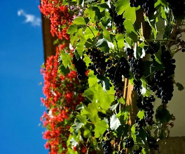 Apartmán Der Lammhof - Kaswurm Wagrain